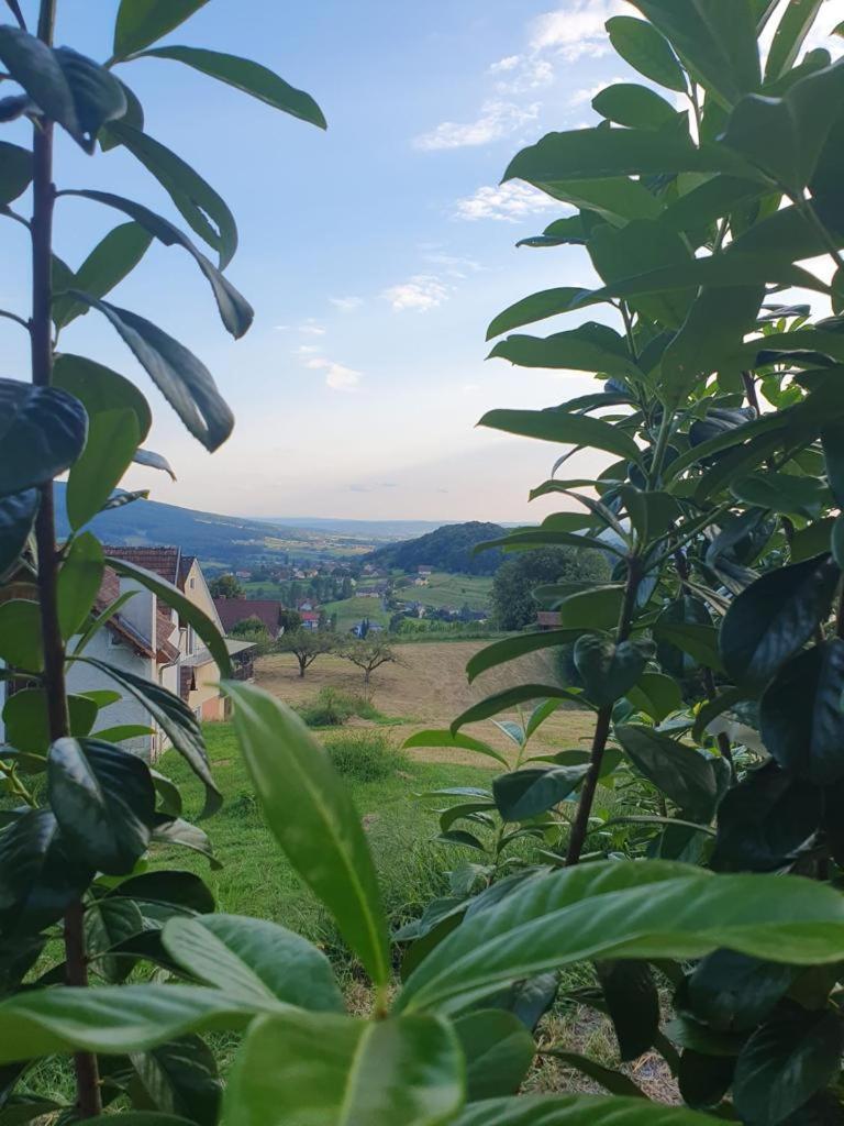Apartamento Feriendomizil Schleich Am Steinriegl Bad Gleichenberg Exterior foto